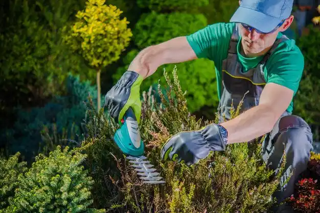 landscaping services Grove City